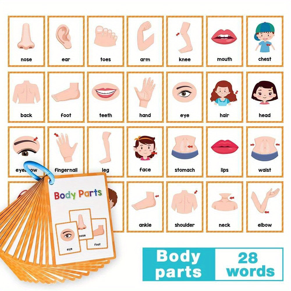 12 Themes Learning Flash Cards 386 English Words, Kids Toddler Colors, Shapes and Numbers, Learning Toys, Educational Preschool Flashcards Kindergarten Educational Toys School Supplies gift