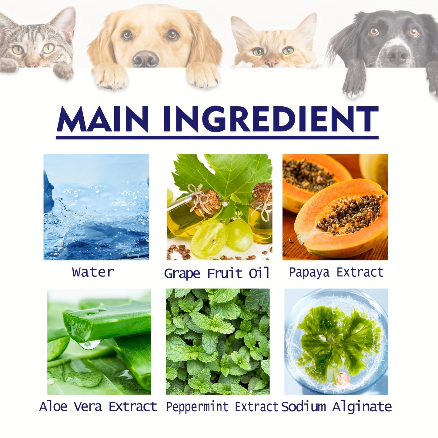 Pet Dog Toothpaste For Dog Cleaning Mouth Odor Tartar Tooth Stain Gum Care Toothpaste, Pet Dental Hygiene Kit
