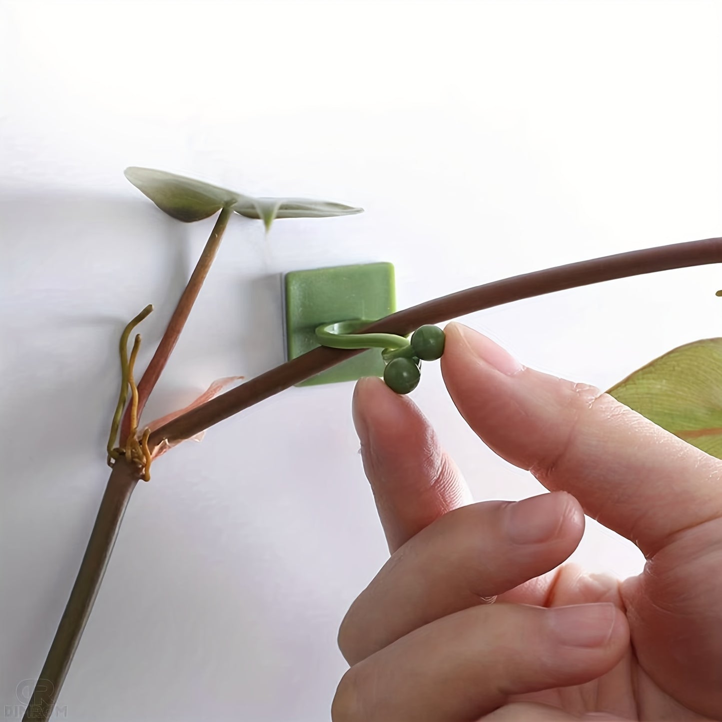 10pcs Plant Climbing Wall Fixture Clips, Self-Adhesive Hook Vines Traction Invisible Holder Supporting Wire Fixing, For Garden Wall Clip, Vines Fixing Clips Self-Adhesive Hook Plant Vine Traction For Indoor Outdoor Decoration