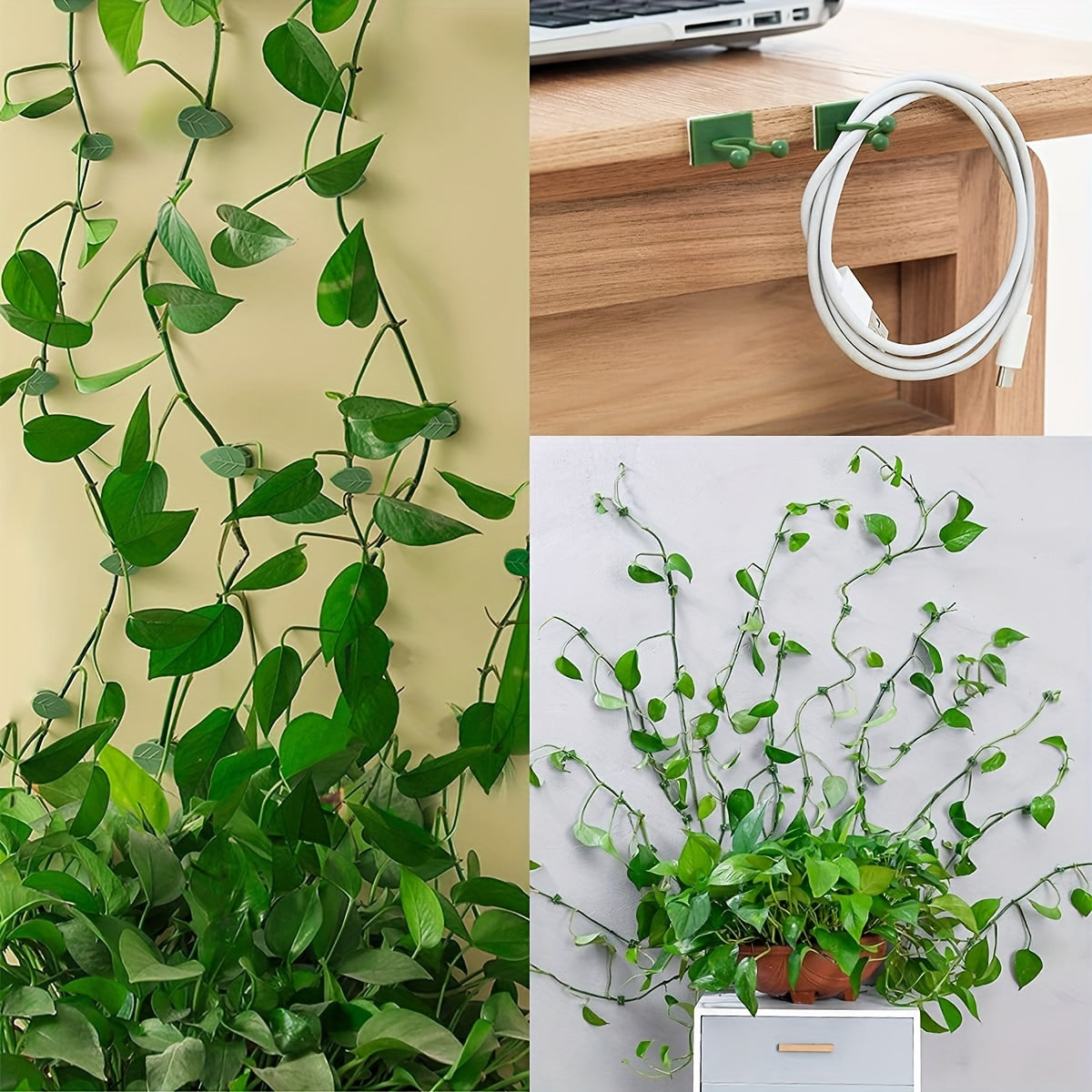 10pcs Plant Climbing Wall Fixture Clips, Self-Adhesive Hook Vines Traction Invisible Holder Supporting Wire Fixing, For Garden Wall Clip, Vines Fixing Clips Self-Adhesive Hook Plant Vine Traction For Indoor Outdoor Decoration