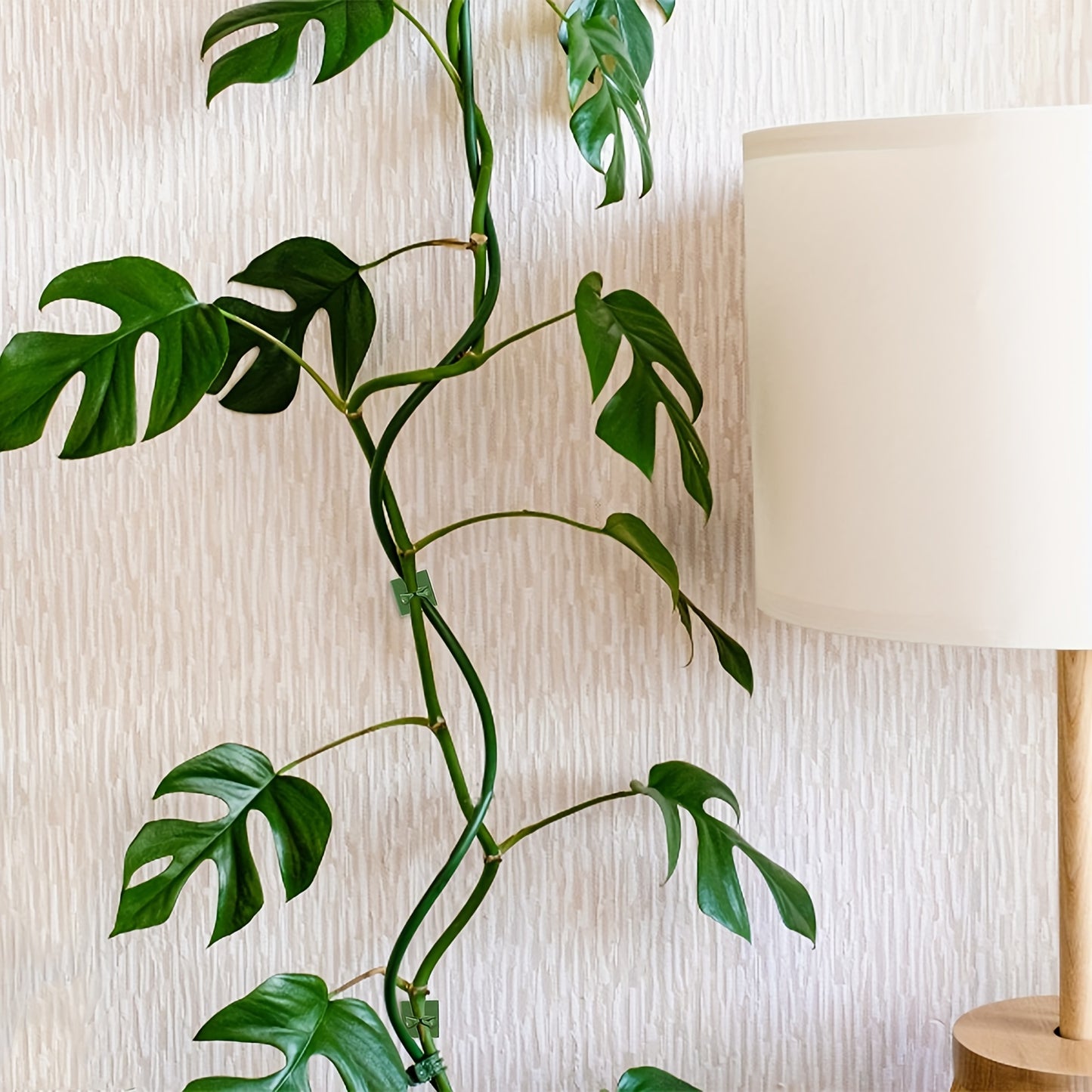10pcs Plant Climbing Wall Fixture Clips, Self-Adhesive Hook Vines Traction Invisible Holder Supporting Wire Fixing, For Garden Wall Clip, Vines Fixing Clips Self-Adhesive Hook Plant Vine Traction For Indoor Outdoor Decoration