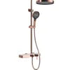 Cross-Border Household Toilet Large Waterfall Water Outlet ABS Chrome Soft Hot Cold Copper Brushed Gold Shower Suit Storage