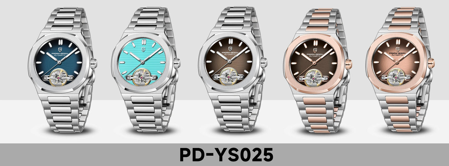 PAGANI DESIGN men's watch new mechanical automatic watch men's luxury stainless steel AR Sapphire crystal luminous men's watch