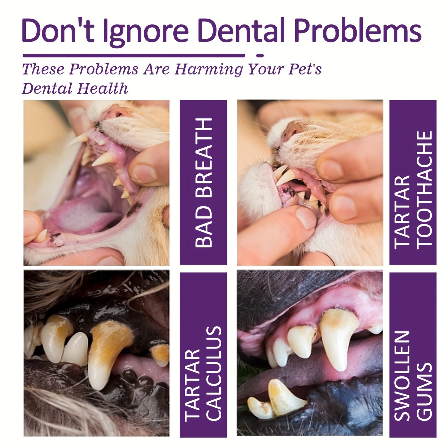 Pet Dog Toothpaste For Dog Cleaning Mouth Odor Tartar Tooth Stain Gum Care Toothpaste, Pet Dental Hygiene Kit