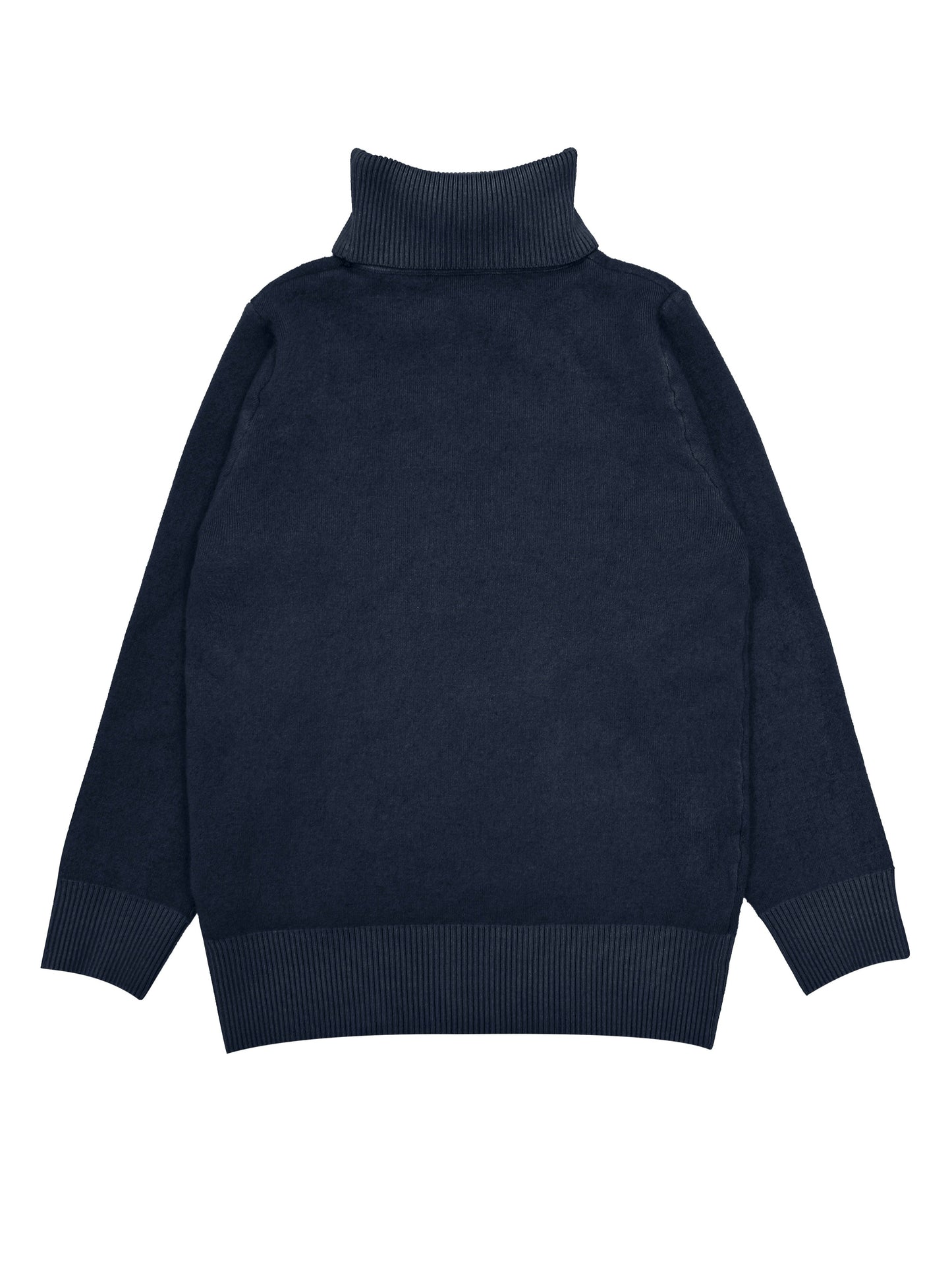 Solid Turtle Neck Pullover Sweater, Casual Long Sleeve Thermal Sweater For Fall & Winter, Women's Clothing