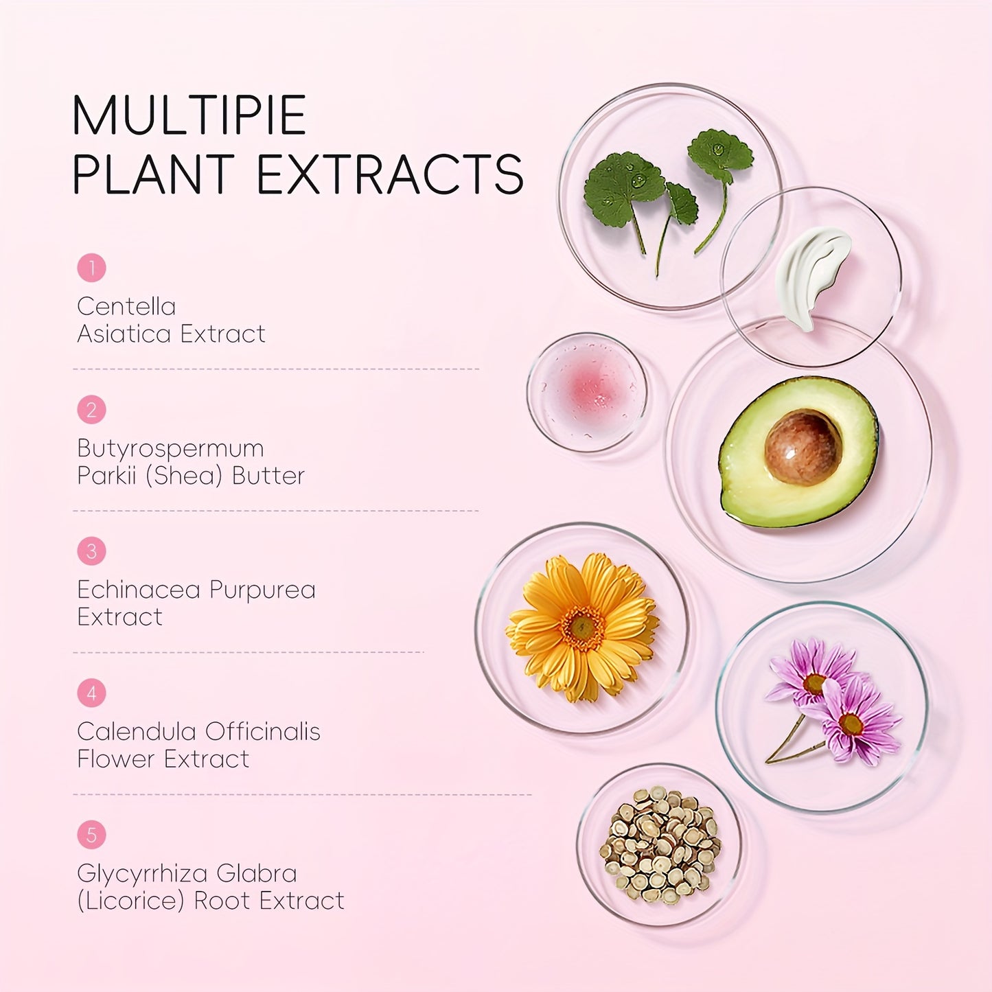 Toning Cream 60g, Plant Extract, Niacinamide Primer, Even Skin Tone, Long Lasting, Natural Look Tone Up Cream