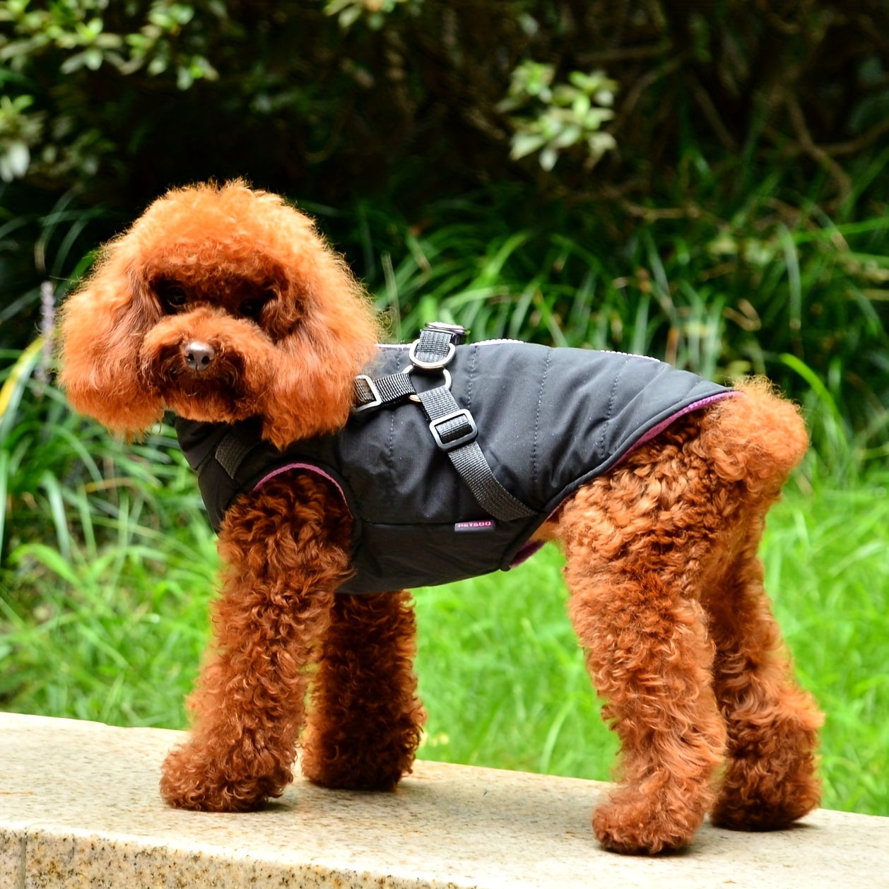 Warm Padded Dog Vest with Harness for Small and Medium Dogs - Red Coat for Extra Comfort and Security Christmas Gift