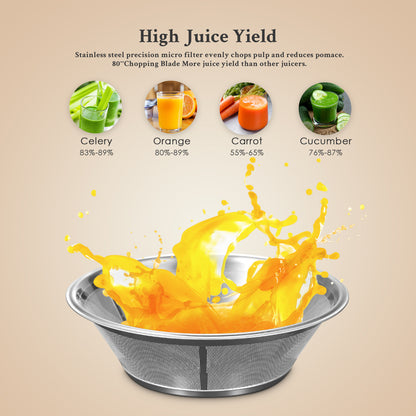 Juicer Machines, 800W Juicer Whole Fruit and Vegetables, Quick Juicing Easy to Clean, 75mm Large Feed Chute, Dual Speed Setting and Non-Slip Feet