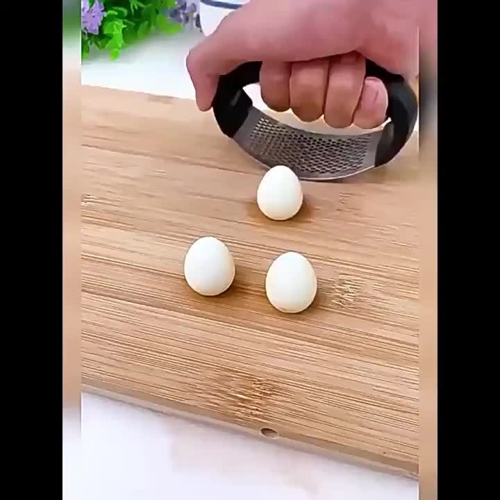 1pc Heavy-Duty Manual Garlic Press & Meat Crusher with Handle - Heavy Base, Manual Food Processor for Garlic, Ginger, Onion, Potato - Heavy-Duty 430 Stainless Steel Construction - Easy to Clean & Dishwasher Safe - Ideal for H