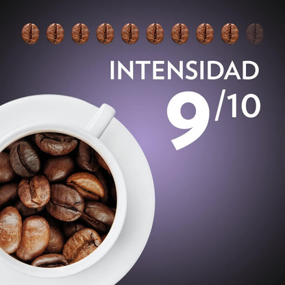 Lavazza Natural Roast Whole Bean Coffee, Barista Intenso Espresso Blend, Arabica and Robusta, with Aromatic Notes of Cocoa and Wood, Intensity 9/10, Medium Roast, 1/2 kg