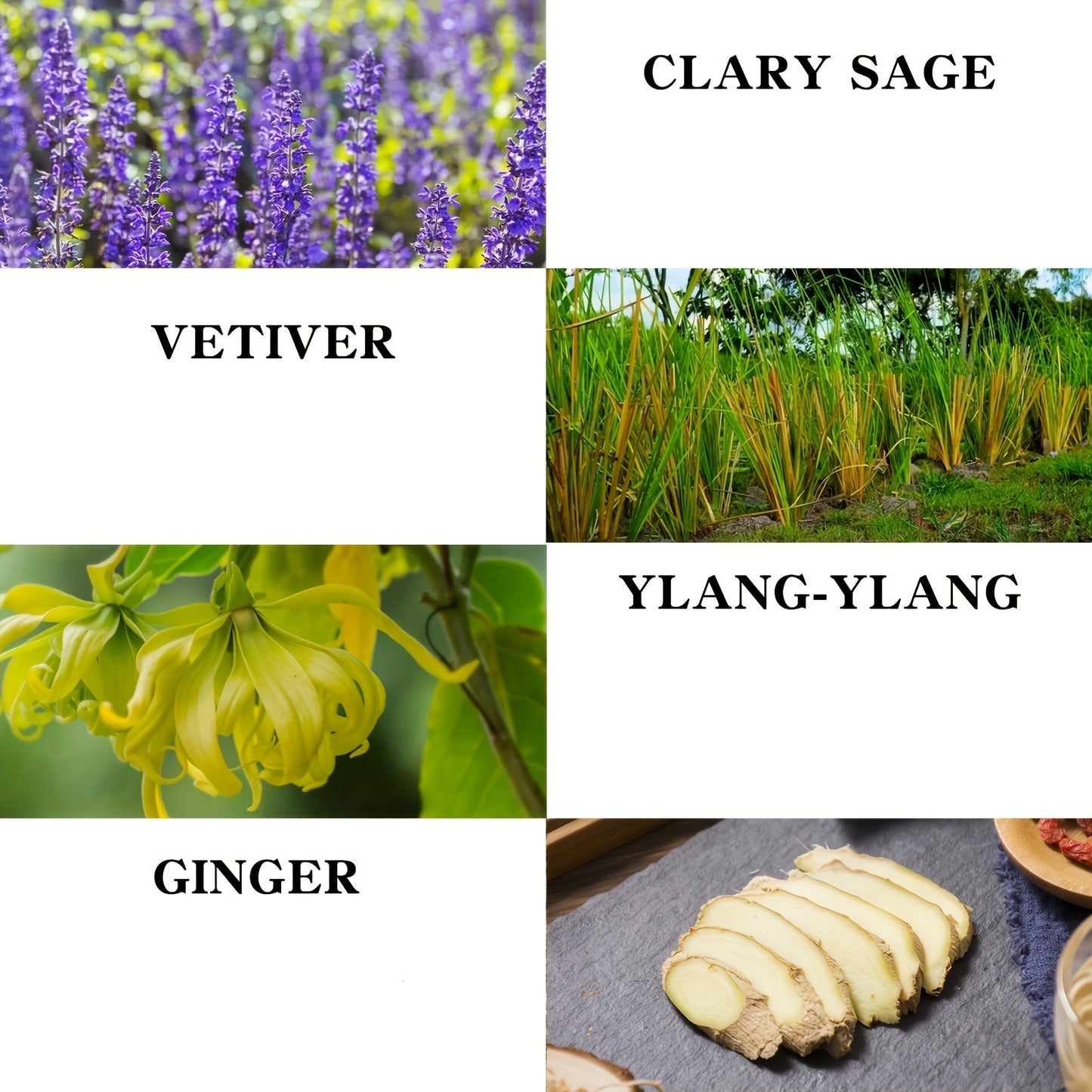 Massage Oil with Ginger Clary Vetiver and Ylang-ylang Massage Oils for Massage body Moisturizing Body Oil for Men and Women 8.8fl.oz