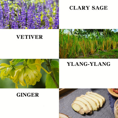 Massage Oil with Ginger Clary Vetiver and Ylang-ylang Massage Oils for Massage body Moisturizing Body Oil for Men and Women 8.8fl.oz