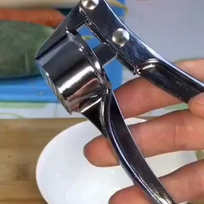 1 Piece metal Garlic Press Manually Crusher Handheld Ginger Kitchen Tools