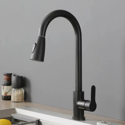 Non-Metallic Pull Down Single Lever Kitchen Mixer Kitchen Sink Faucet Water Filters With 2 Handles, Chrome