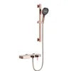 Cross-Border Household Toilet Large Waterfall Water Outlet ABS Chrome Soft Hot Cold Copper Brushed Gold Shower Suit Storage