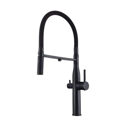 Modern Kitchen Filter Crane Pulls Out Spray 360 Rotating Water Filter Faucet Hot and Cold Three-way Sink Mixer Kitchen Faucet