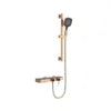 Cross-Border Household Toilet Large Waterfall Water Outlet ABS Chrome Soft Hot Cold Copper Brushed Gold Shower Suit Storage