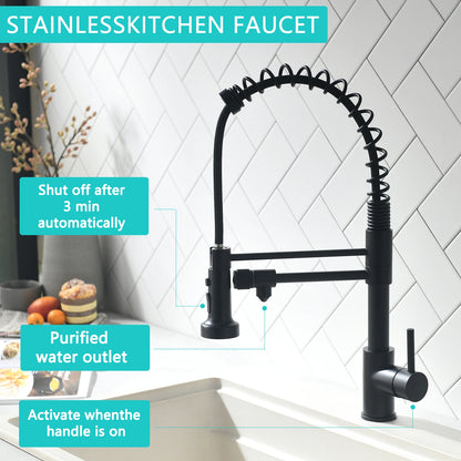 3 Way Spring Kitchen Faucet with Purified Water Filter Hot and Cold Water Black Kitchen Sink Mixer Tap Faucet Pull Down Sprayer