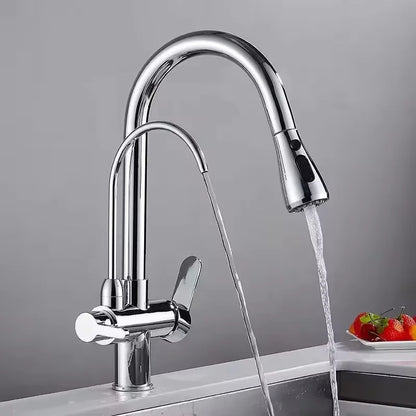 Modern Design Three-Way Mixer Kitchen Faucet with Pull Out Sprayer Water Purification Sink Faucet Featuring Brass Ceramic Filter