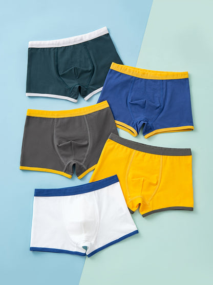 Conjunto de 5 Cuecas Boxer para Criança para Menino, 95% Algodão, Macias e Respiráveis, com Estampado Dinossauro, Tamanhos até aos 12 Anos.