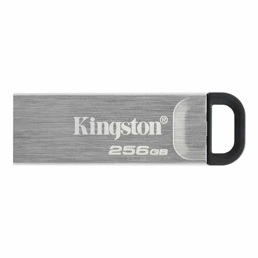 Memória USB Kingston Preto 256 GB